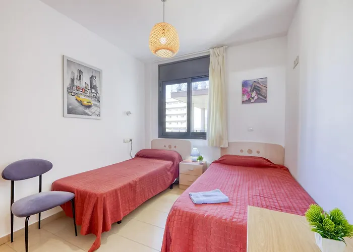 Bright In Nature Roses